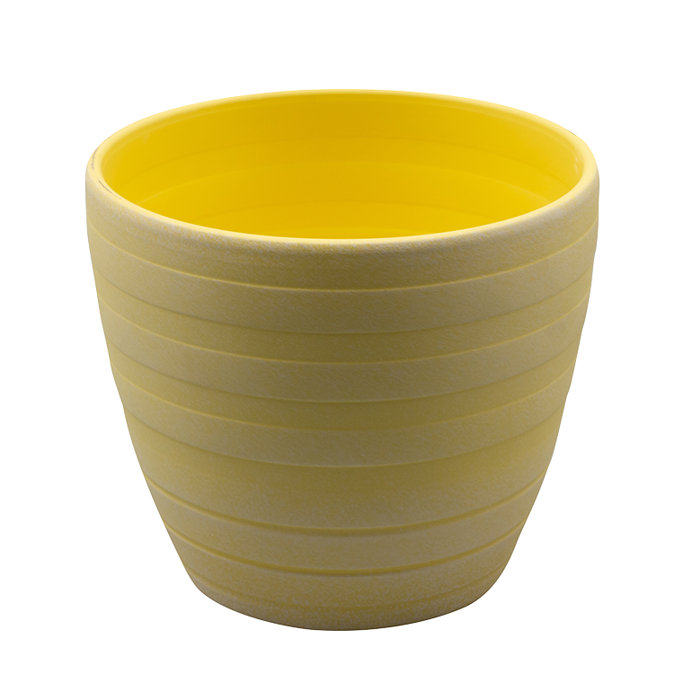 Ciska-yellow-MA-1260-7