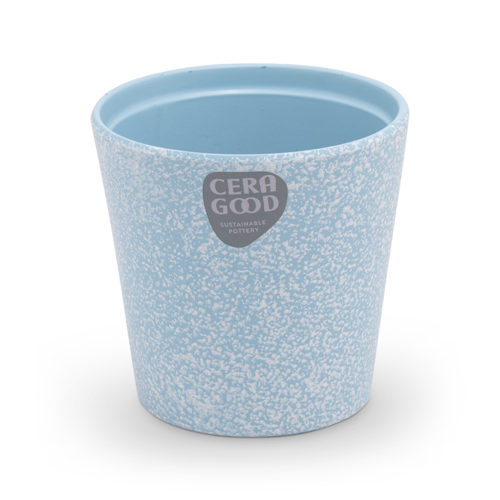 Amy-blue-MA-2000-1-CG