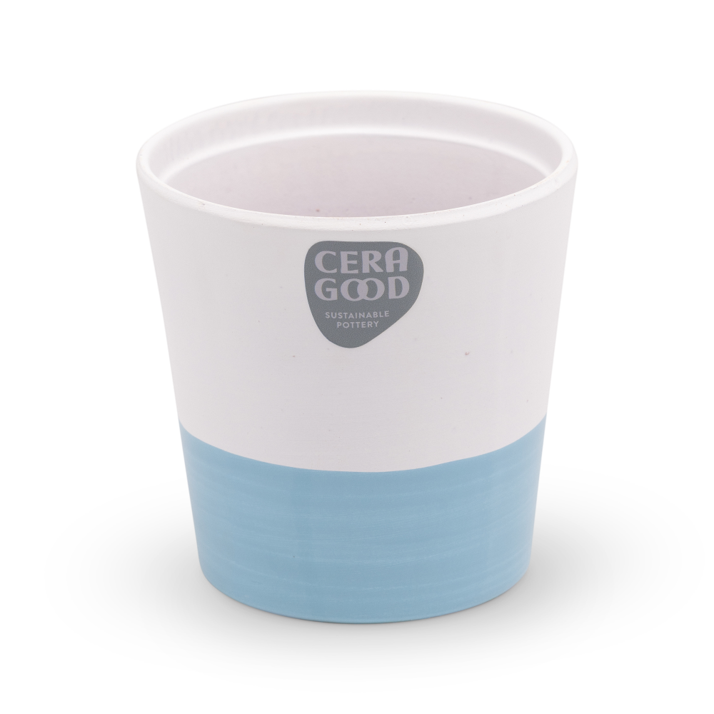 Amy-blue-MA-2003-1-cg