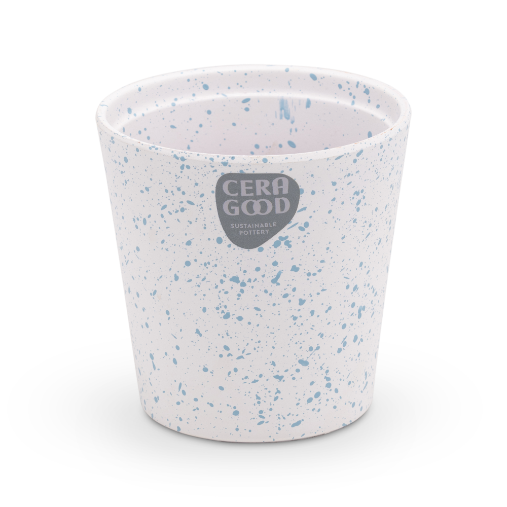 Amy-blue-MA-2006-1-cg