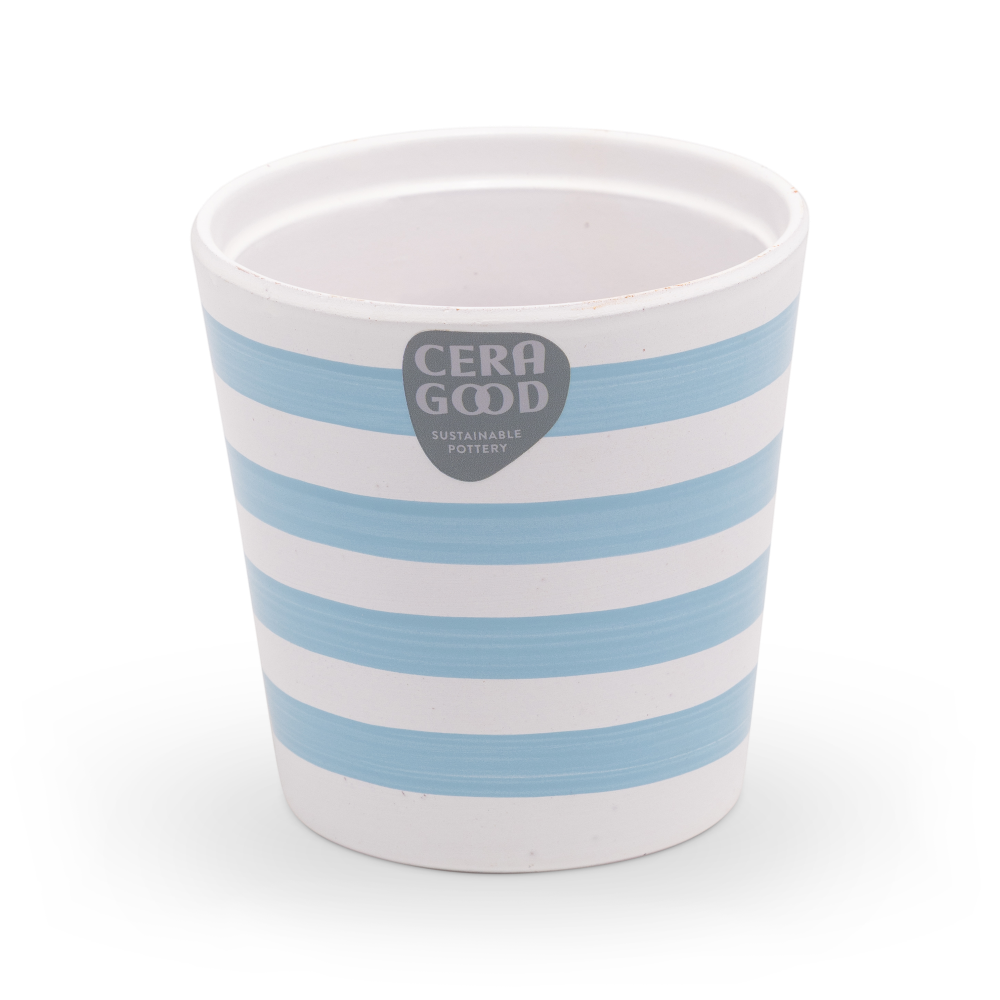 Amy-blue-MA-2007-1-cg