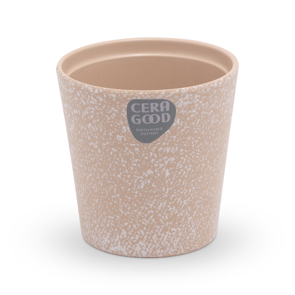 Amy-brown-MA-2000-4-cg