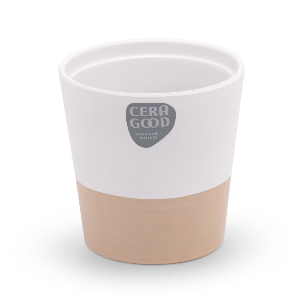 Amy-brown-MA-2003-4-cg