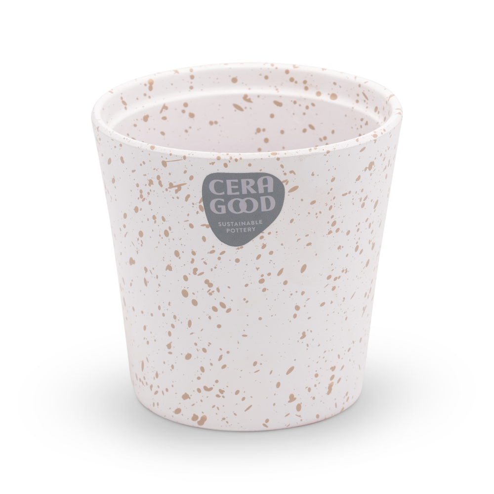 Amy-brown-MA-2006-4-cg