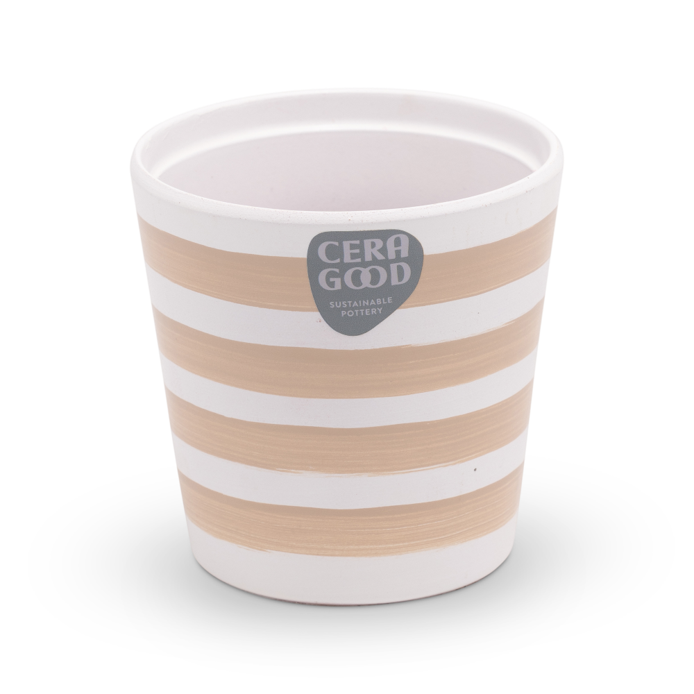 Amy-brown-MA-2007-4-cg