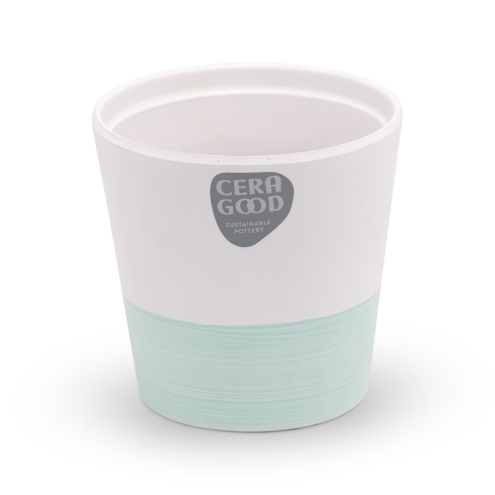 Amy-green-MA-2003-3-cg