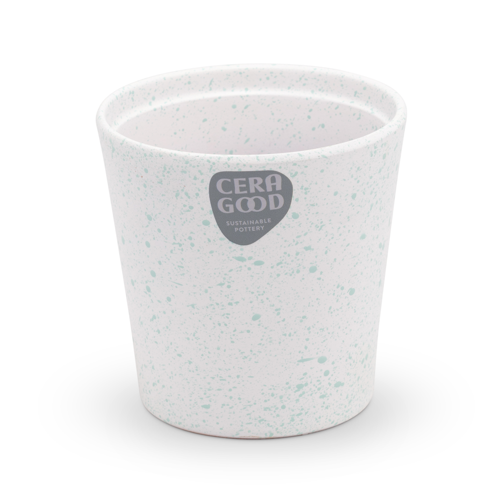 Amy-green-MA-2006-3-cg