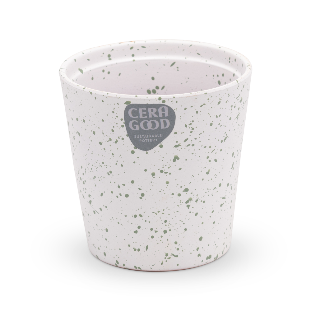 Amy-green-MA-2006-5-cg