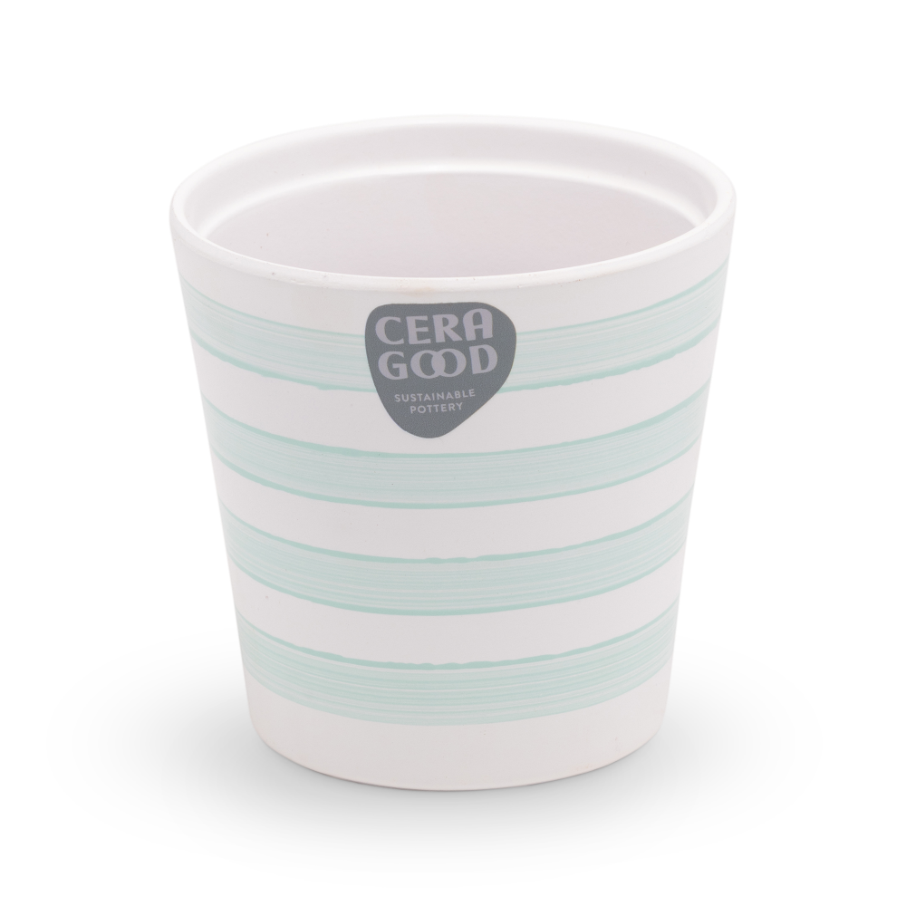 Amy-green-MA-2007-3-cg