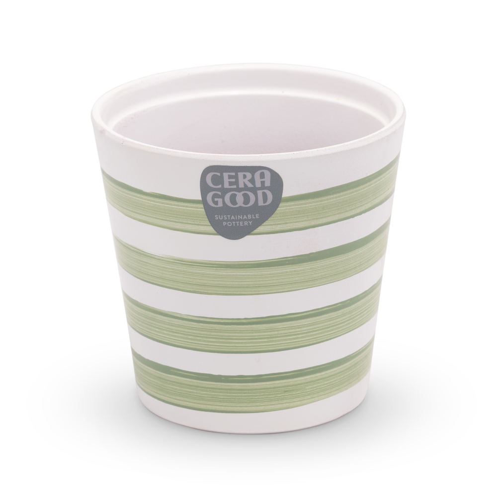 Amy-green-MA-2007-5-cg