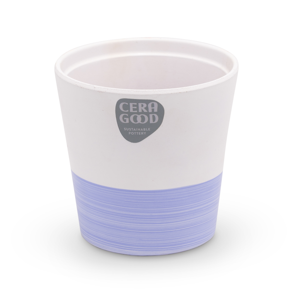 Amy-purple-MA-2003-2-cg