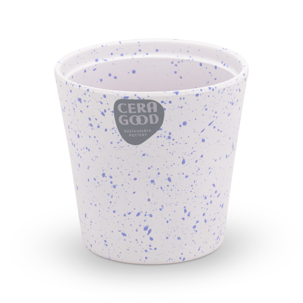 Amy-purple-MA-2006-2-cg