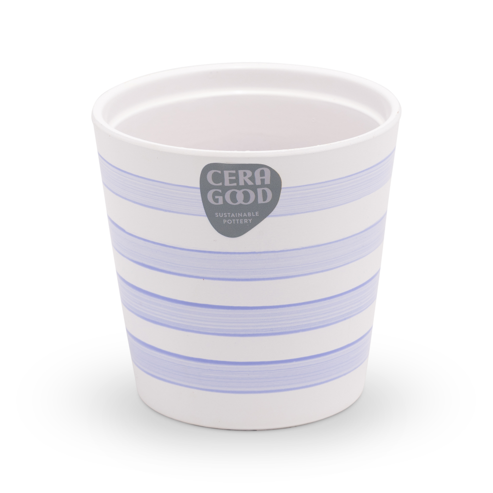 Amy-purple-MA-2007-2-cg