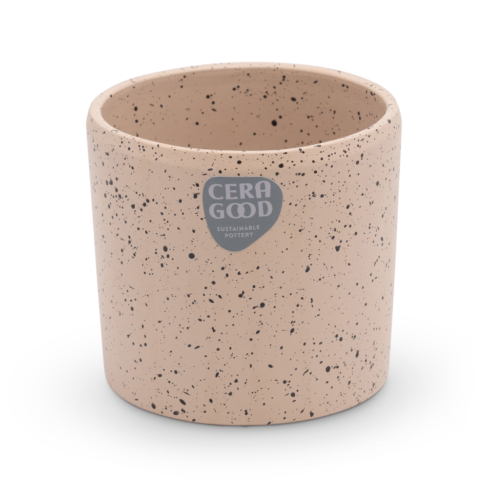 Gaby-brown-MA-2005-4-cg