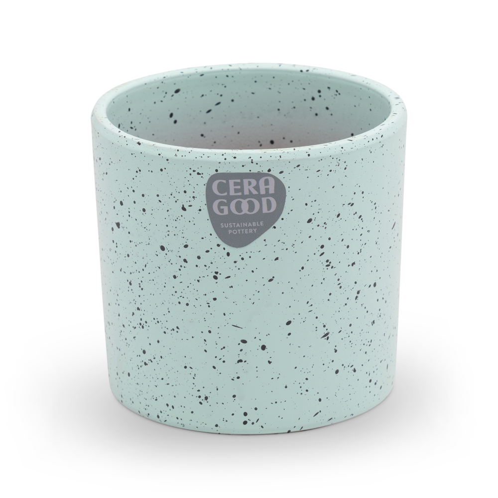 Gaby-green-MA-2005-3-cg