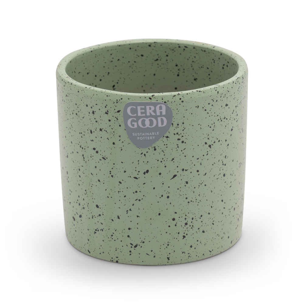 Gaby-green-MA-2005-5-cg