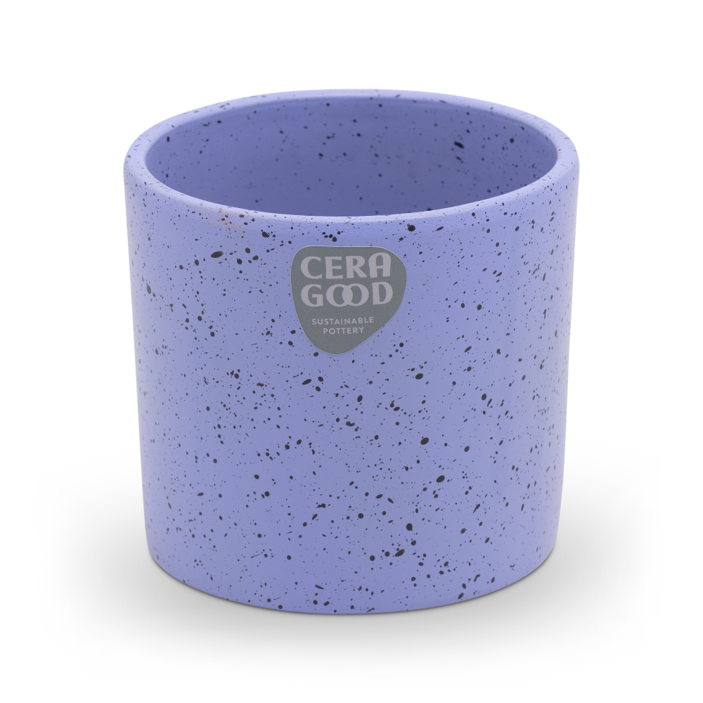 Gaby-purple-MA-2005-2-cg