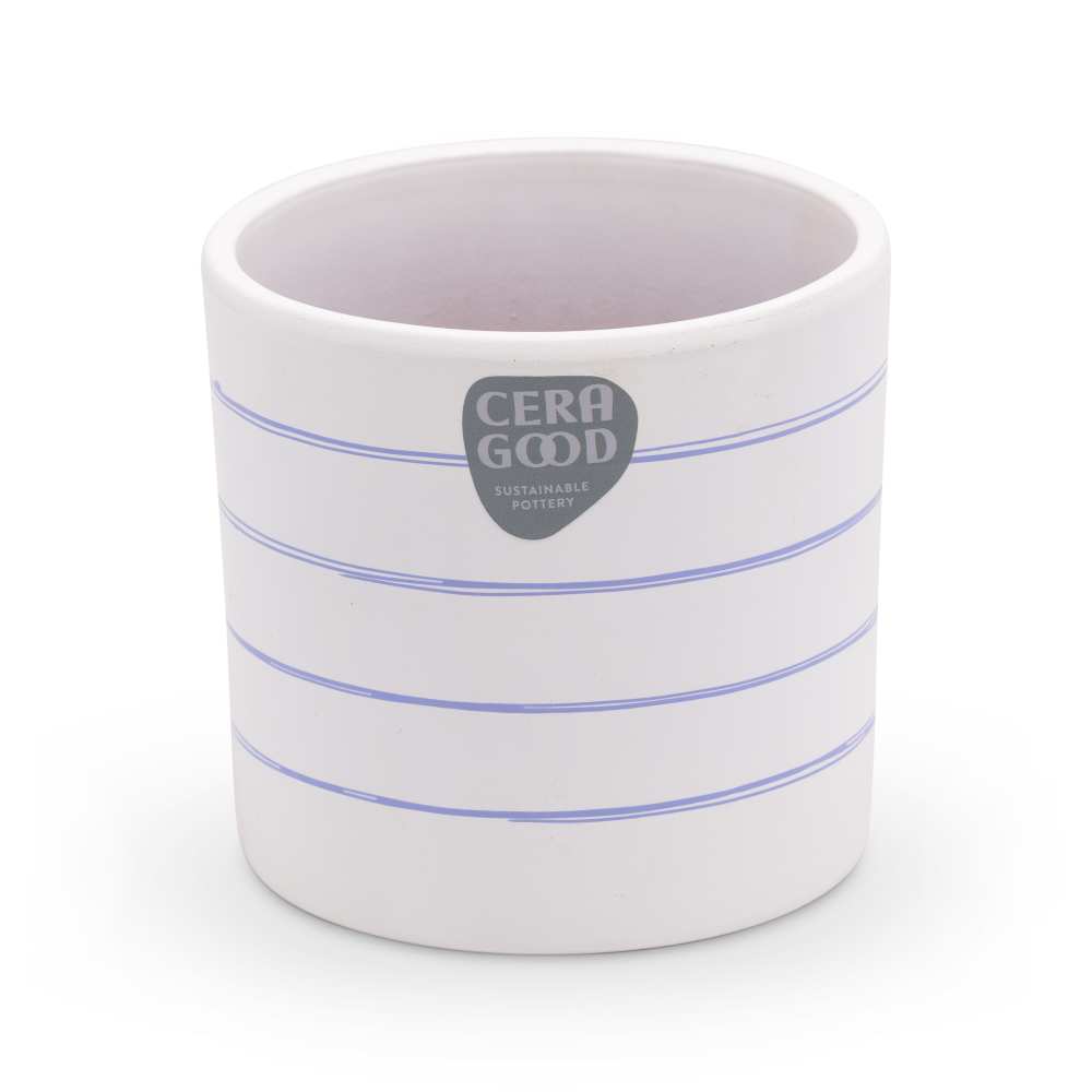 Gaby-purple-MA-2009-2-cg-1