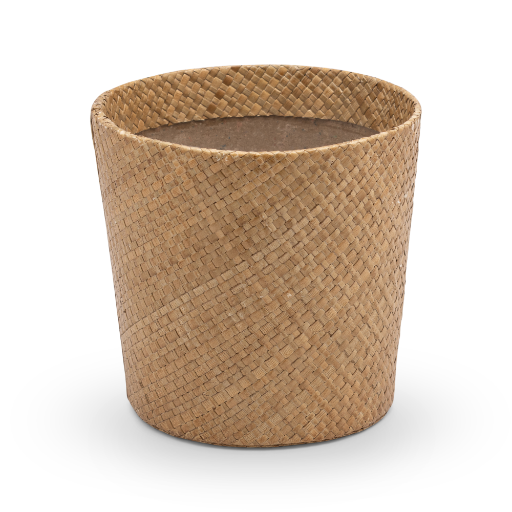 Amy-SP-brown-IN-100-PR472