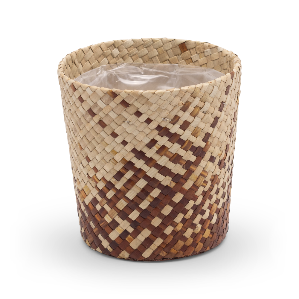 Amy-SP-brown-IN-401-4