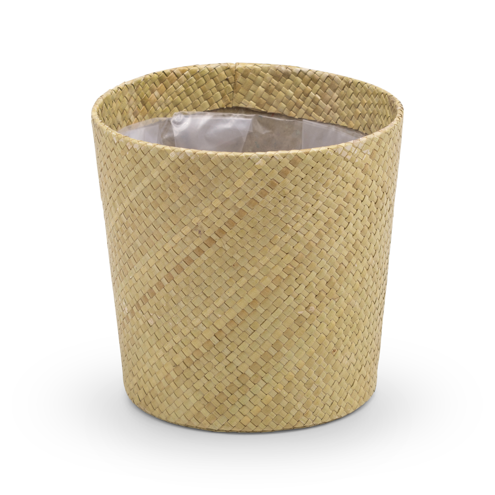 Amy-SP-green-IN-100-PR472