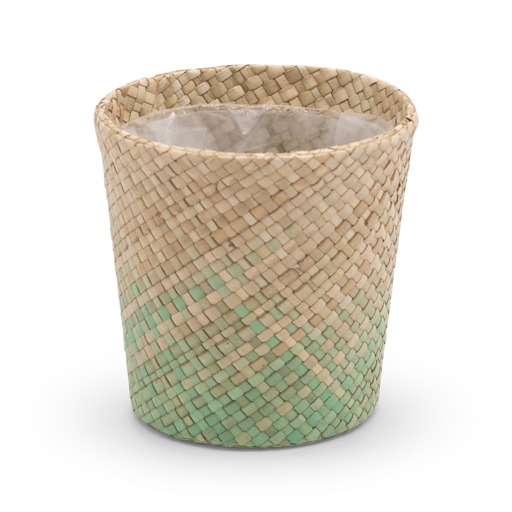 Amy-SP-green-IN-401-1