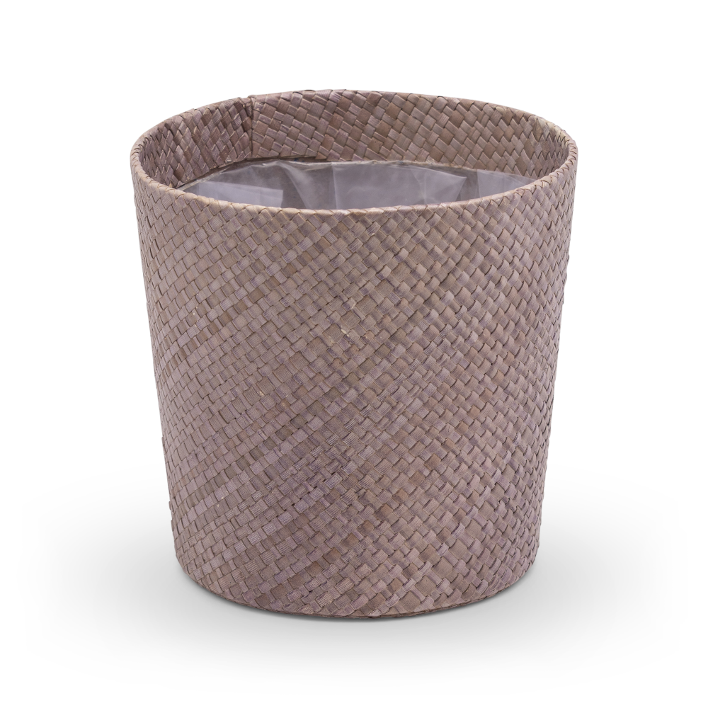 Amy-SP-purple-IN-100-PR472