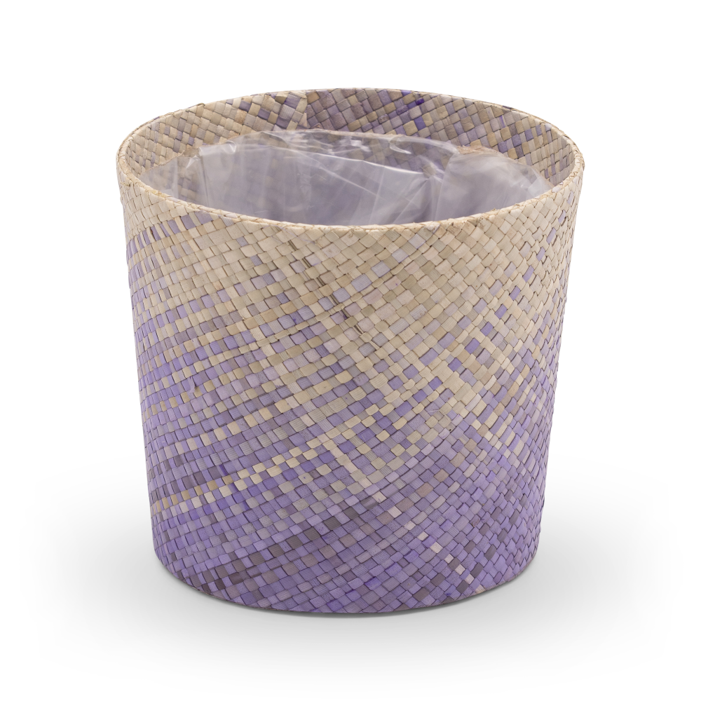 Amy-SP-purple-IN-401-3