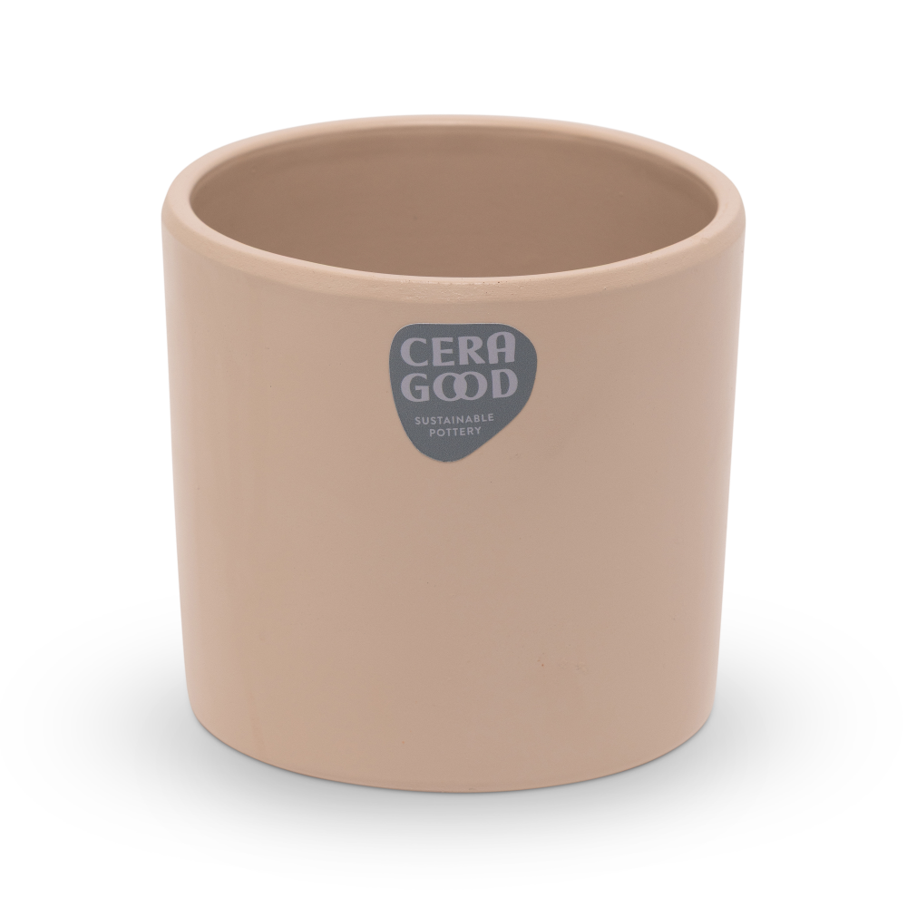 Gaby-brown-MA-2001-4-cg